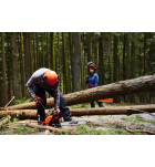 ECHO CS-4920ES benzínová pila